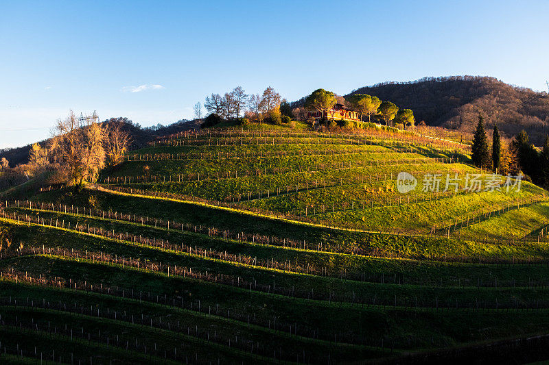 Valmarino的Cison(电视)，Prosecco hills，